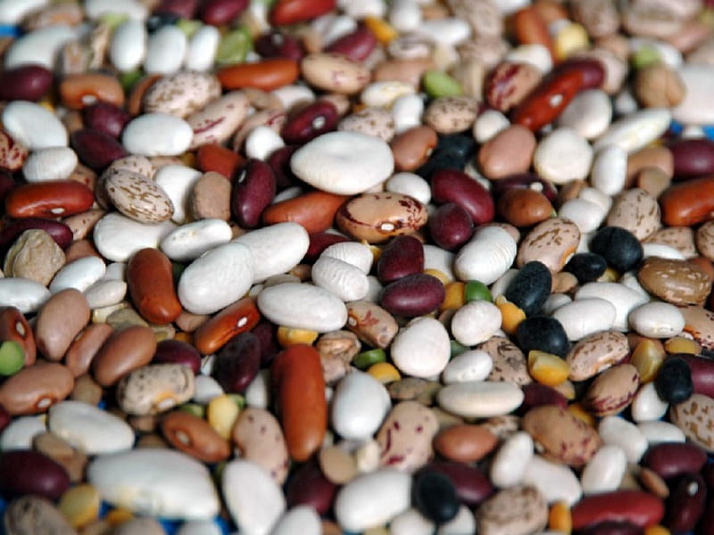 Beans, Seed, Bean, Food, HD wallpaper