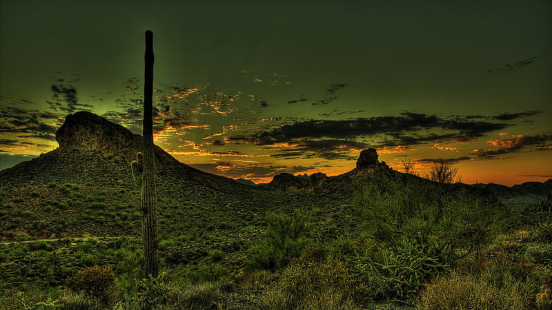 wonderful mexican desert in green hue r, hills, desert, green, r, sunset, cactus, HD wallpaper