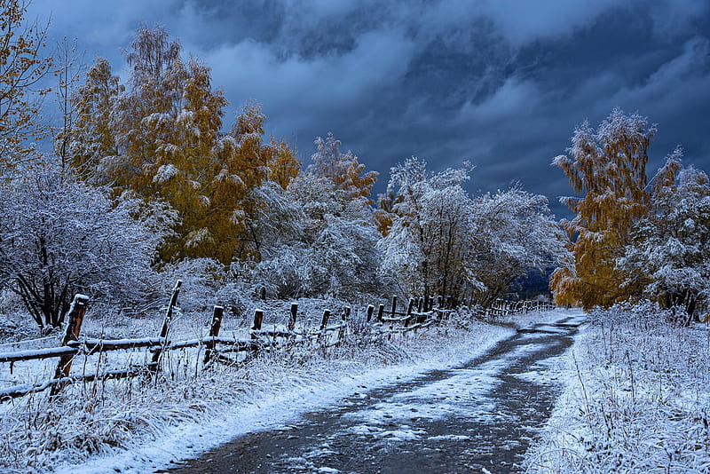 Man Made, Path, Fall, Fence, Road, Snow, Tree, HD wallpaper