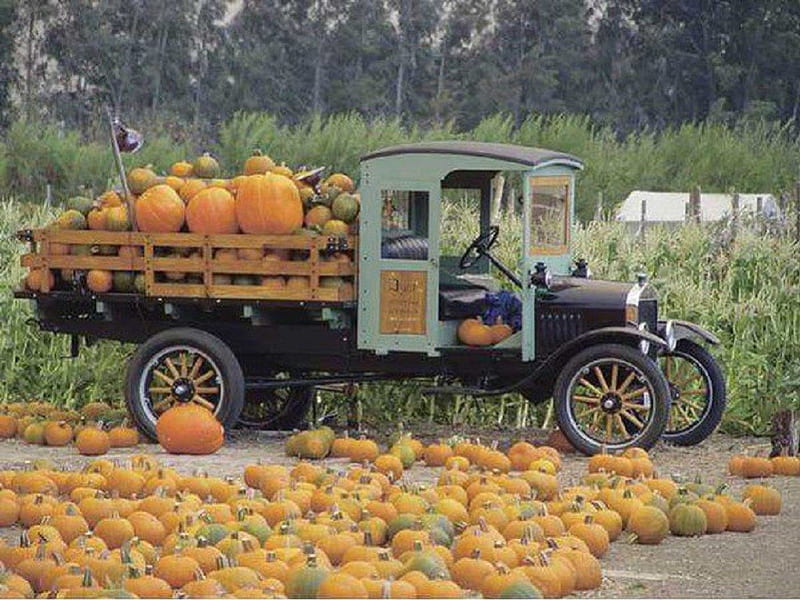 Antique Trucking Through the Pumpkin Patch fall, autumn, antique truck, abstract, pumpkins, HD wallpaper