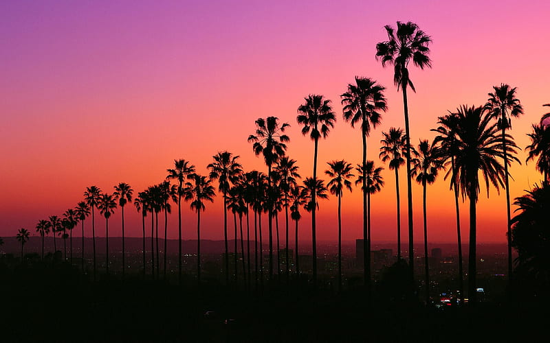 Camille Villar on . California , Los angeles , Los angeles sunset, HD wallpaper
