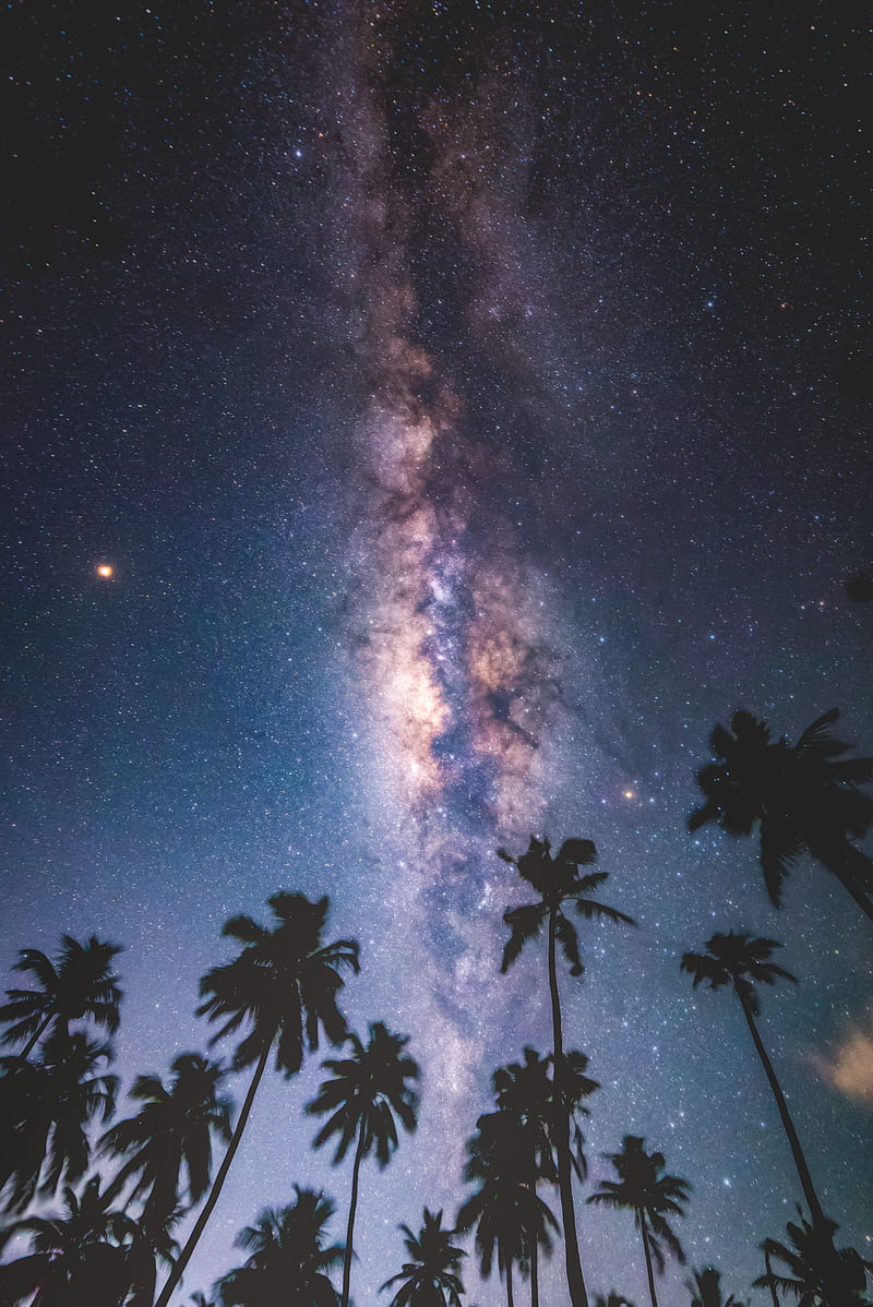 palms, starry sky, milky way, stars, night, maldives, HD phone wallpaper