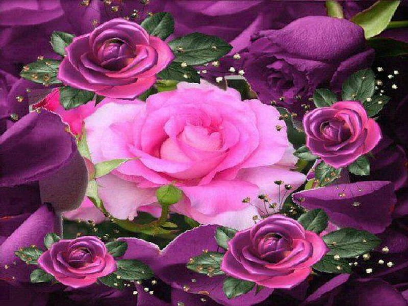 Rosas moradas, moradas, ramos, flores, naturaleza, rosas, Fondo de pantalla  HD | Peakpx