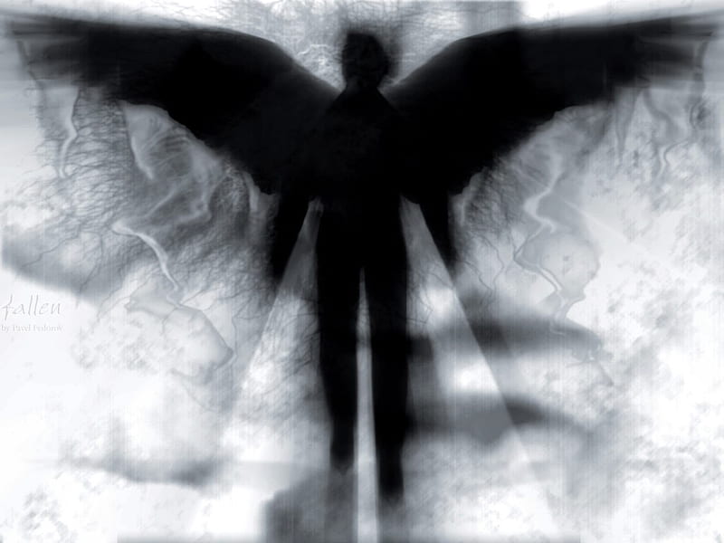 ángel, negro, alas, blanco, Fondo de pantalla HD | Peakpx