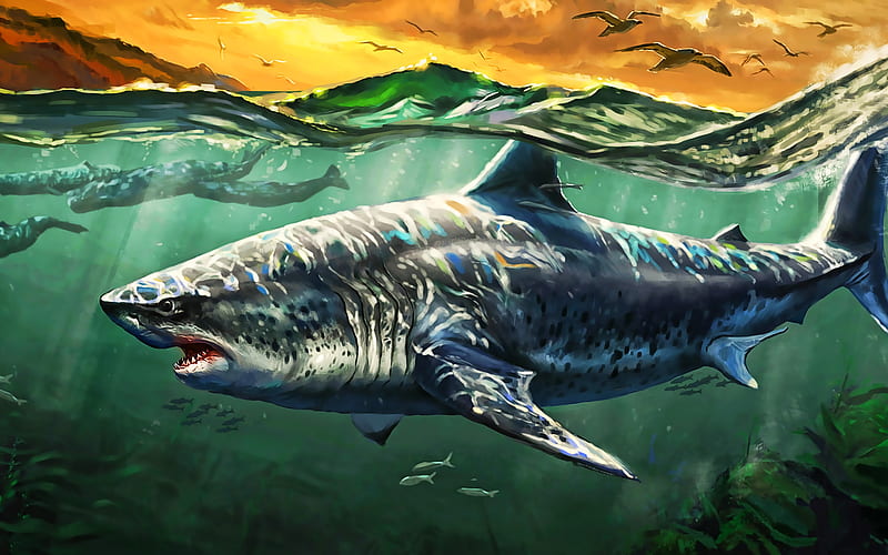 shark, predator, ocean, whales, underwater world, seagulls, artwork, HD wallpaper