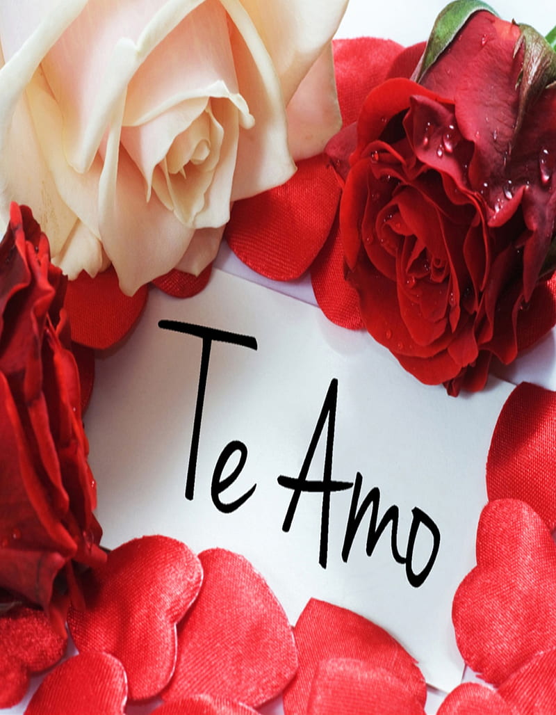 te amo, love, coazon, letras, parejas, red, rosas, HD phone wallpaper