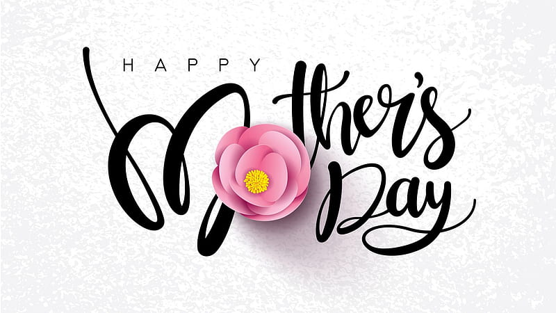 Happy Mother's Day Word With Pink Rose In White Background Happy Mother's Day, HD wallpaper