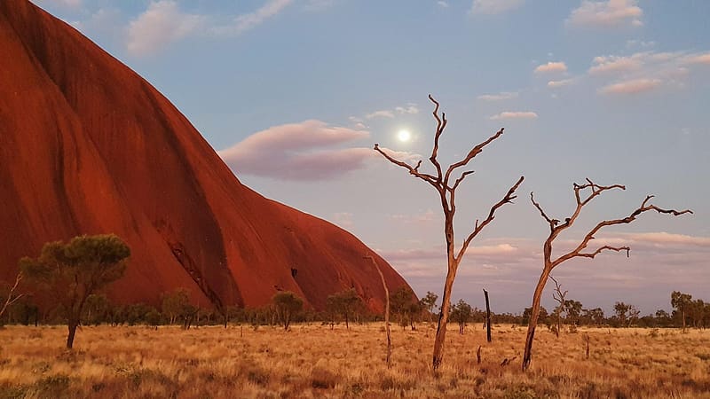Uluru at twilight, Australia, sky, plants, moon, trees, landscape, clouds, HD wallpaper