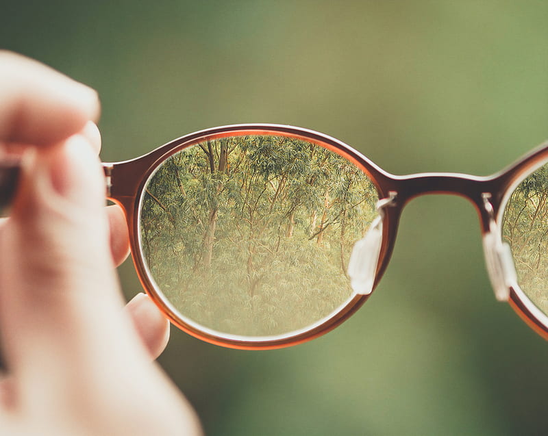 person holding brown eyeglasses with green trees background, HD wallpaper