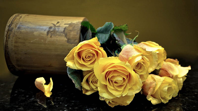 Bunches Of Yellow Roses With Green Leaves Flowers, HD wallpaper