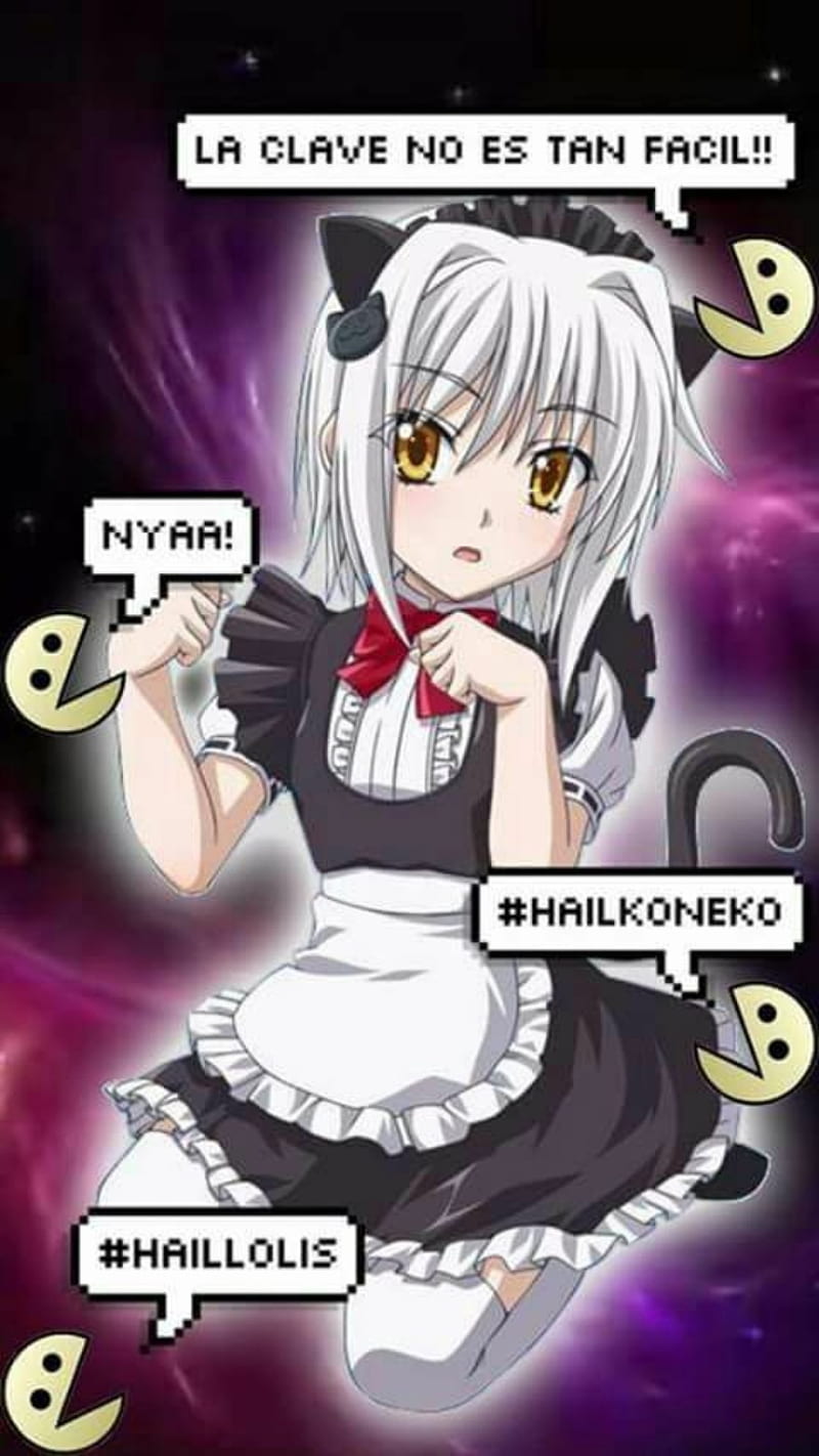 Koneko Toujou, highschool dxd, koneko, loli, HD phone wallpaper | Peakpx