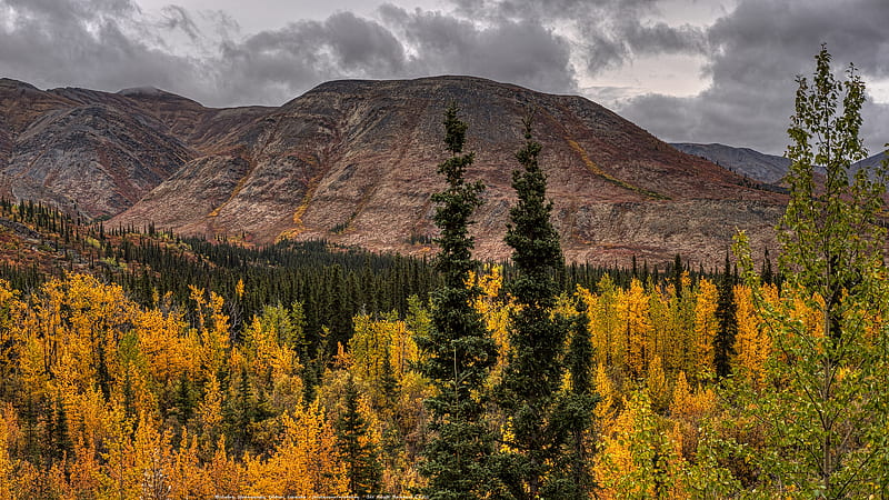 National Park, Banff National Park, Canada, Fall, Landscape, Mountain, HD wallpaper