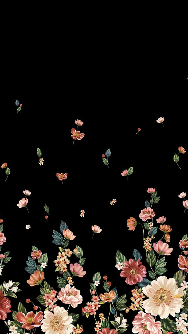 Black cicek walpper, daisy, poppies, black, HD phone wallpaper