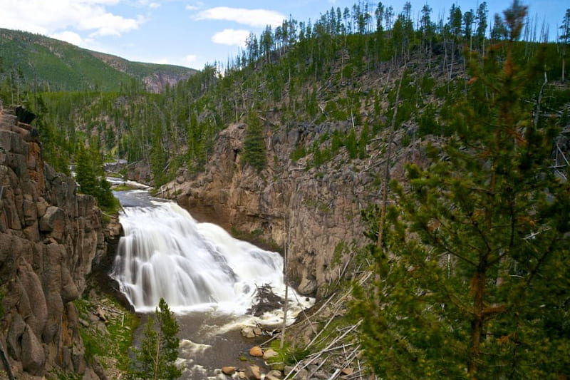 Gibbon Falls in Yellowstone, Forests, National Parks, Waterfalls, Nature, HD wallpaper