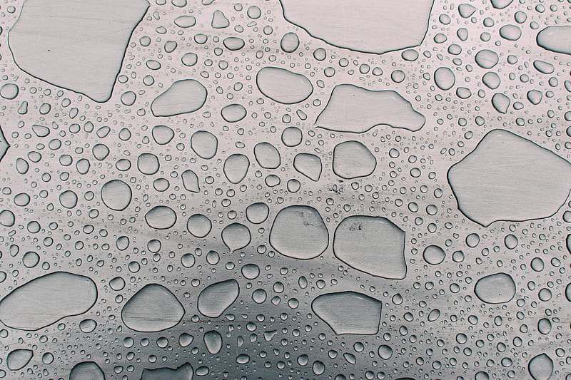 Water Droplets, HD wallpaper