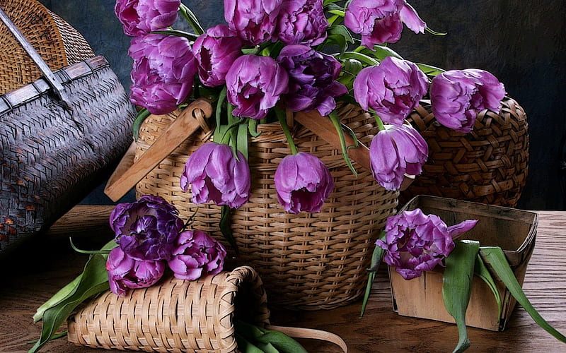 tulips, wicker basket, flowers, HD wallpaper