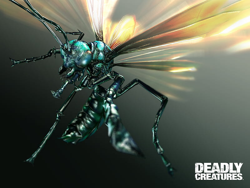 Deadly Creatures, creatures, game, tarantula hawk, deadly, HD wallpaper