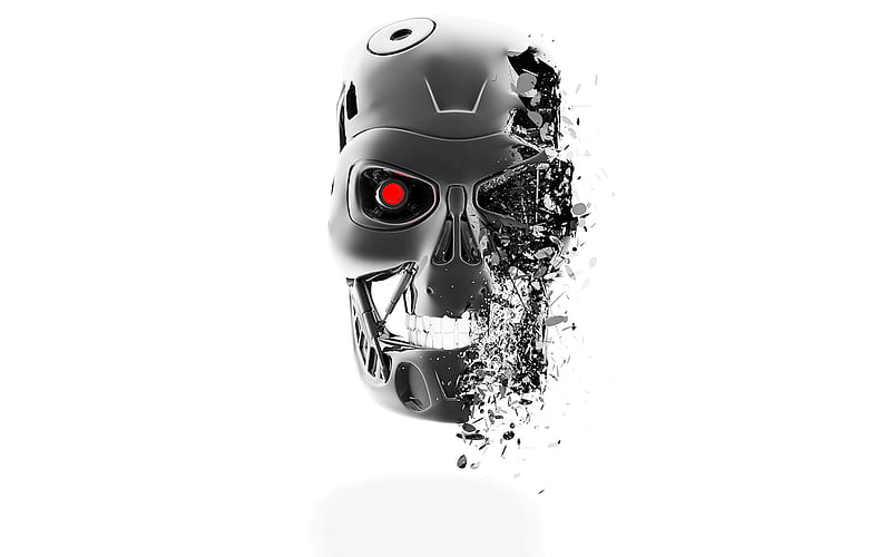 The Terminator, 3d, t-800, terminator, skull, HD wallpaper