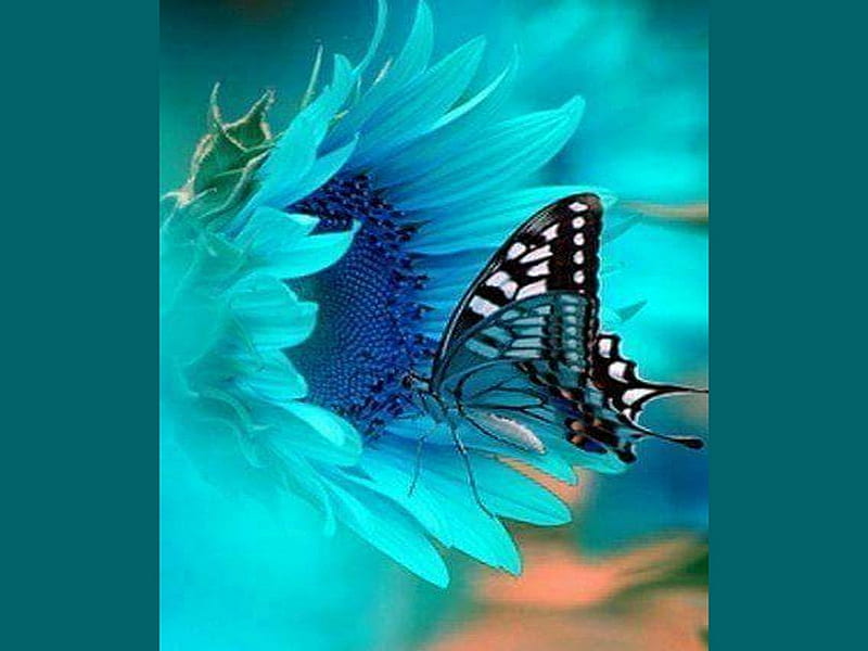 Belleza en azul, flor, agua, mariposa, azul, Fondo de pantalla HD | Peakpx