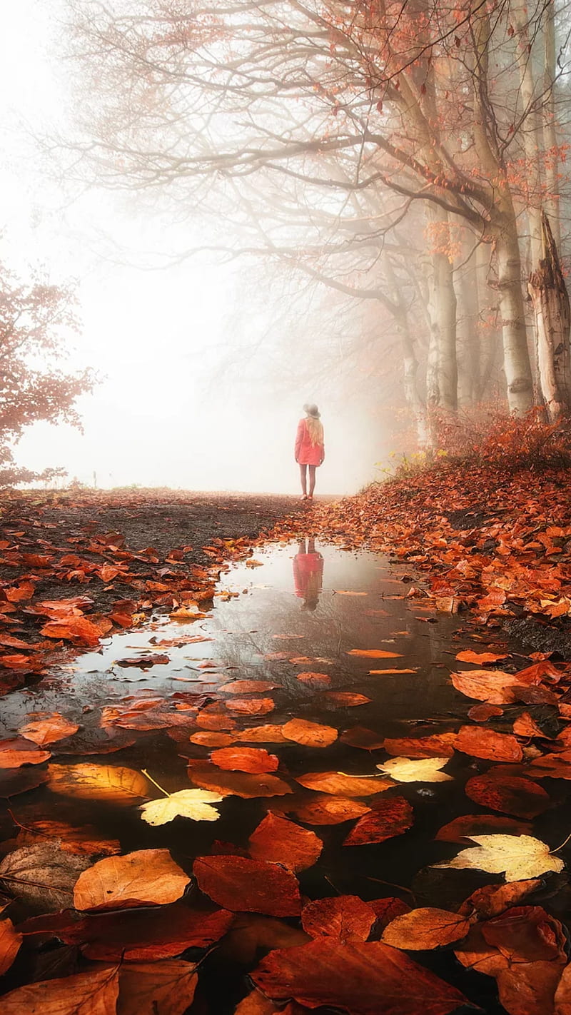 Fall season, leaves, nature, autumn, girl, trees, HD phone wallpaper