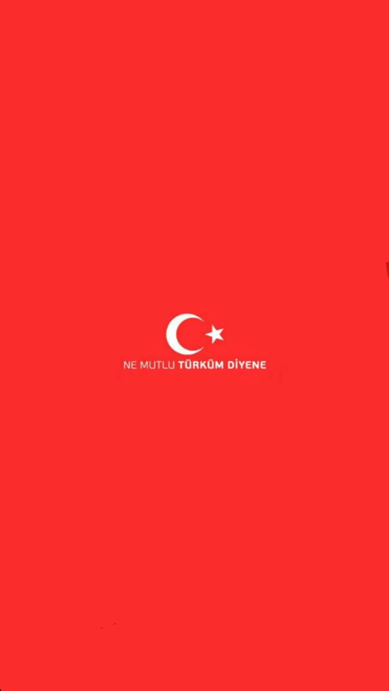 Turk Bayragi, flag, flag, turkey, turkish, HD phone wallpaper