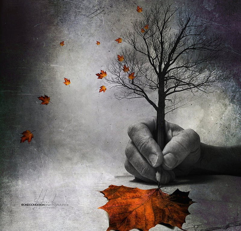 when the autumn is by iron doom design..., autumn, tree, pencil, painting, hand, color, leaf, HD wallpaper