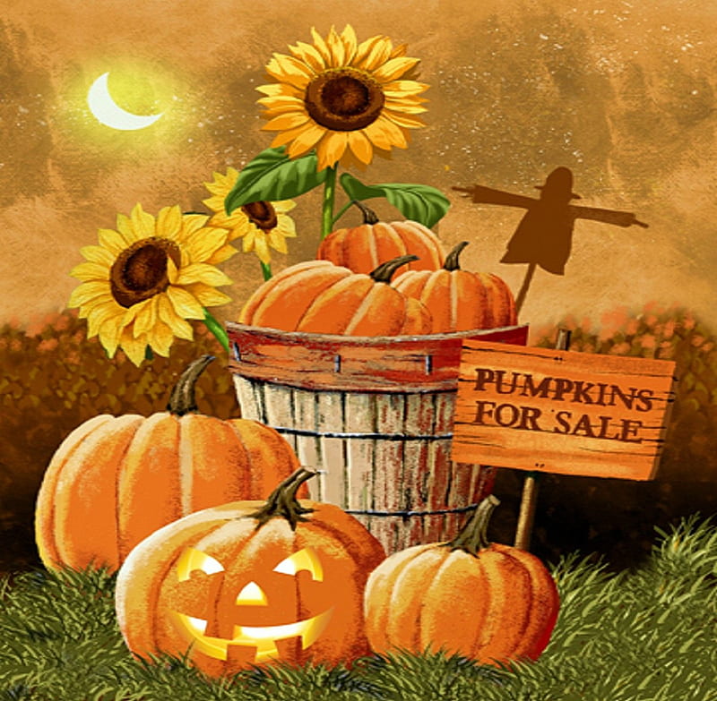 ★Pumpkin for Sale★, pretty, fall season, autumn, holidays, lovely, halloween, sales, colors, love four seasons, creative pre-made, harvest time, cute, paintings, scarecrows, pumpkins, HD wallpaper