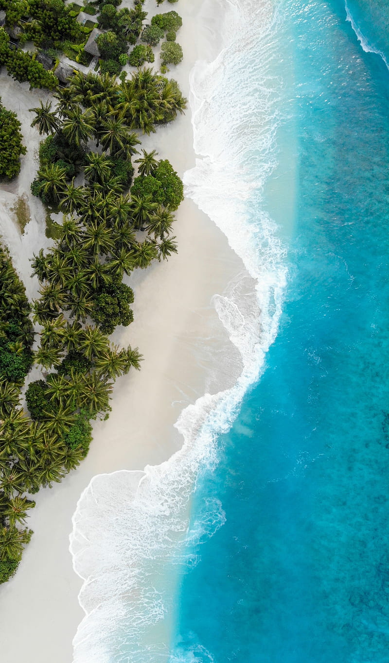 Waves Crashing , beach, drone , nature, ocean, trees, tropical, HD phone wallpaper
