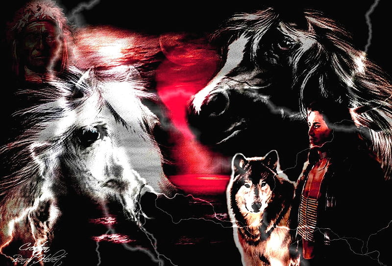 HORSES, couleur, astral, 2012, HD wallpaper