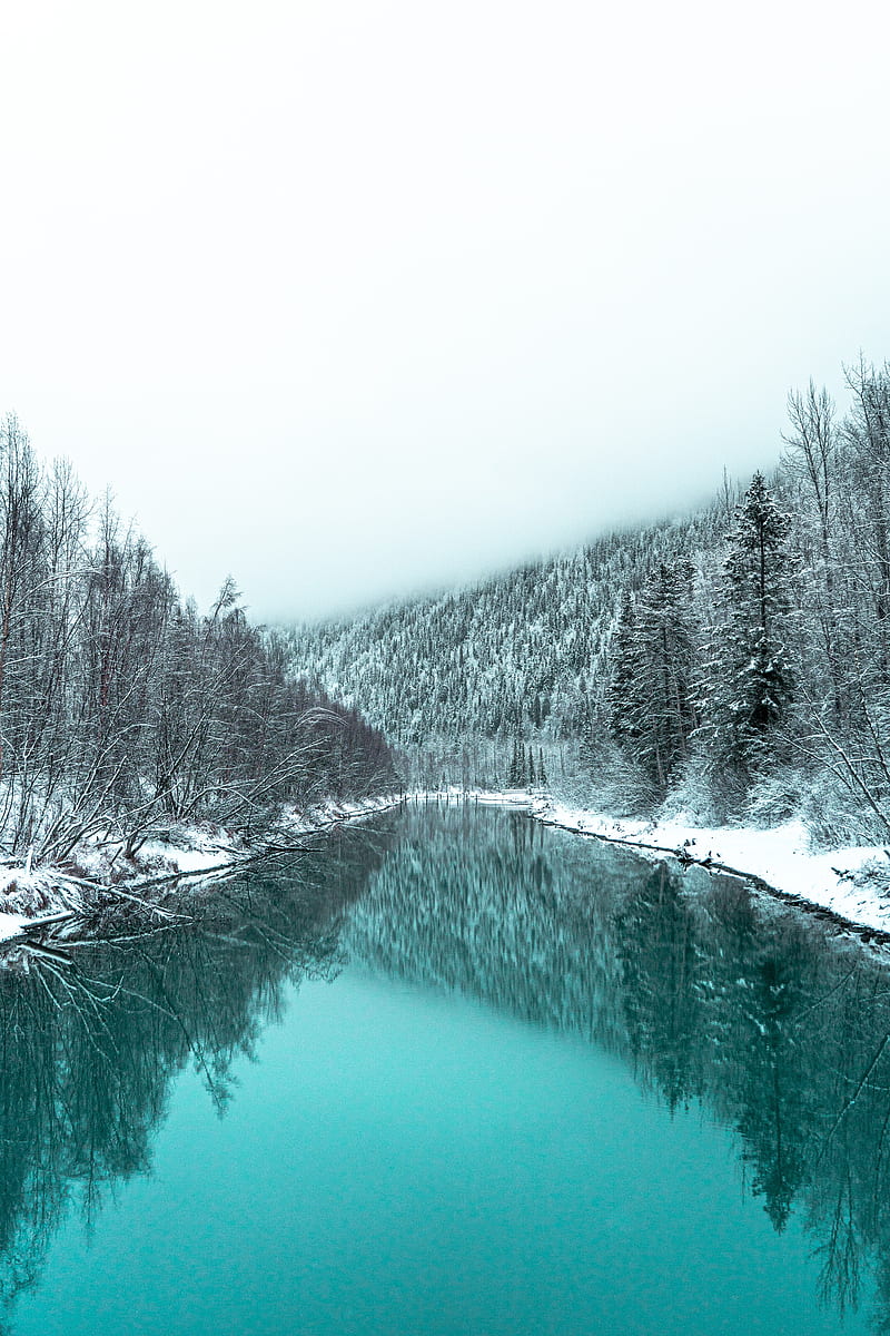 river, forest, snowy, winter, landscape, HD phone wallpaper