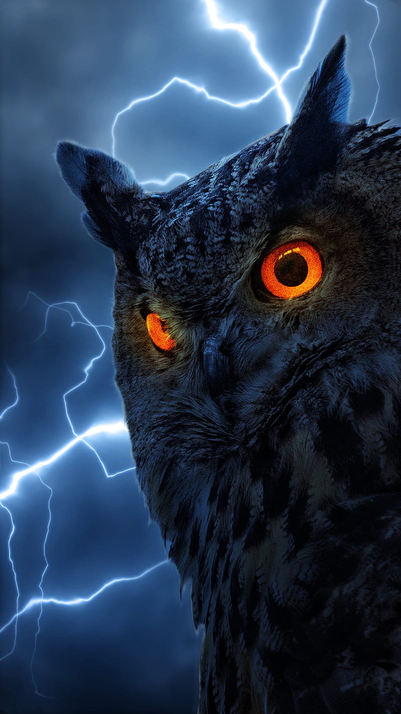 Night Hunter, fantasy, glowing eye, lightning, night, owl, owl stare, owl , manipulation, thunder, HD phone wallpaper