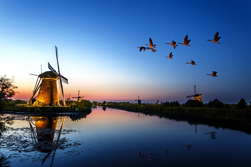Windmill Birds Flying Evening Lake , windmill, birds, flying, evening, lake, nature, HD wallpaper