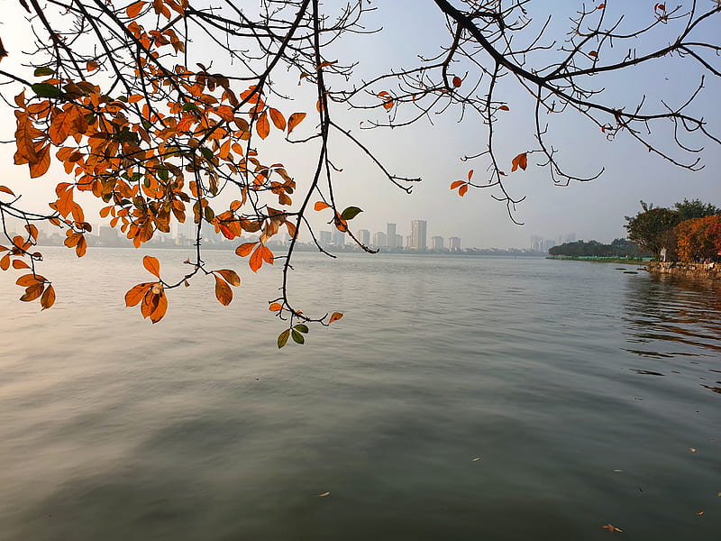 West lake, autumn, hanoi, hotay, vietnam, HD wallpaper