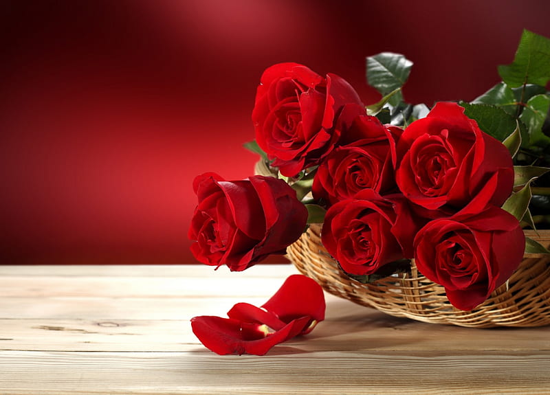 Con amor, día de san valentín, rosas rojas, rosa, rosas, ramo, flores,  pétalos, Fondo de pantalla HD | Peakpx