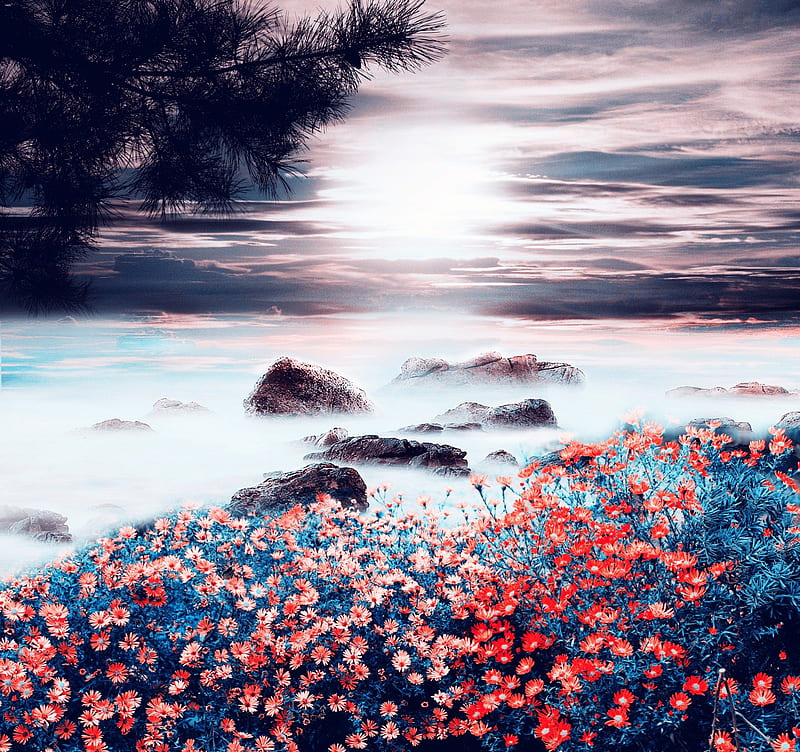✰Perception of Nature✰, rocks, pretty, colorful, scenic, stunning, splendid, bonito, fog, sweet, splendor, stoche , love, exterior, flowers, sunrise, scenery, magnificent, florals, resources, SophieY, lovely, view, premade, colors, places, mist, cool, backgrounds, nature, stoche, HD wallpaper
