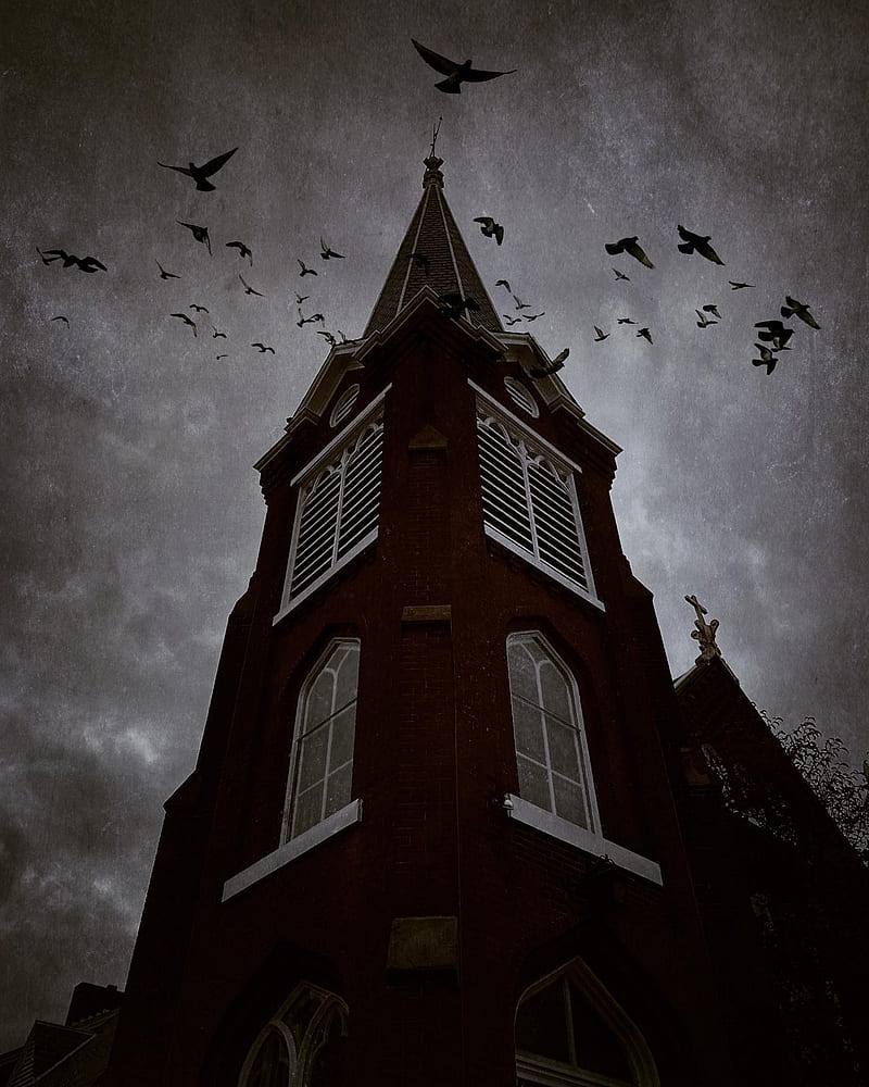 Gothic tower, birds, black and white, building, castle, crows, dark, stormy, HD phone wallpaper