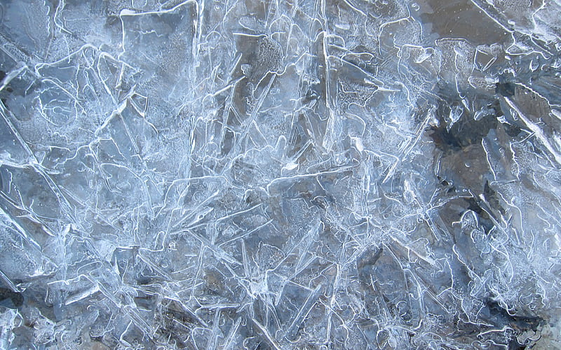 ice texture macro, ice cracks, ice backgrounds, ice, frozen water textures, ice patterns, gray ice, ice textures, arctic texture, HD wallpaper