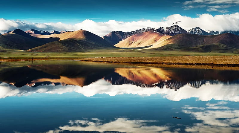 Mountain Reflection, Ladakh, birds, bonito, clouds, lake, India, mountains, prairie, reflection, field, Himalayas, HD wallpaper