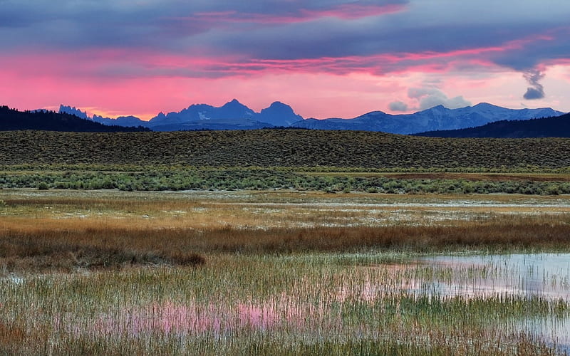 beautiful colorful swamp landscape, grass, mountains, clouds, sky, swamp, HD wallpaper
