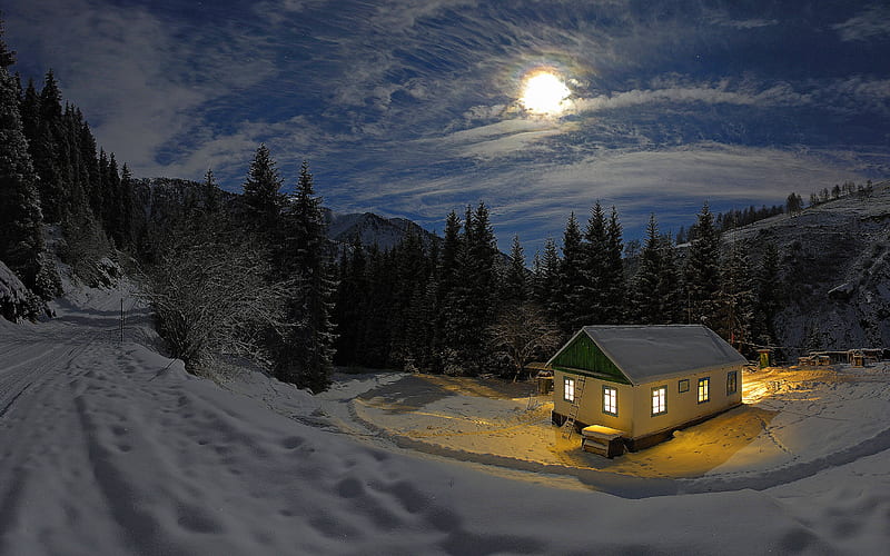 WINTER LIGHT HOUSE, amazing, house, bonito, sky, clouds, pines, lights, winter, moon, snow, cosy, ice, nature, landscape, night, HD wallpaper