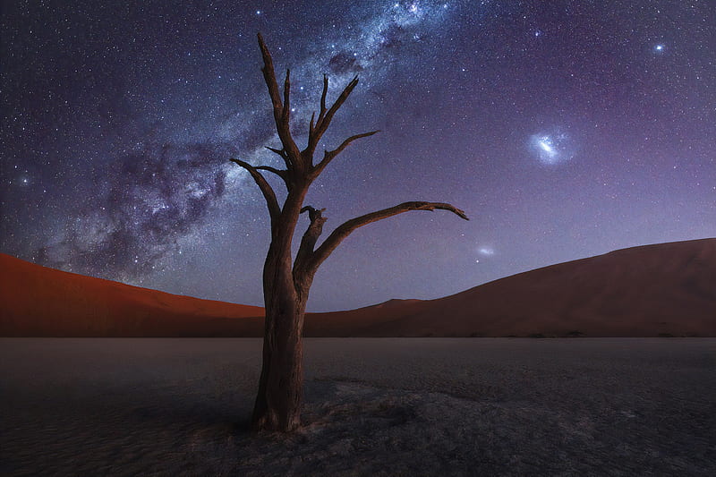 Tree Desert Milky Way , milky-way, desert, nature, HD wallpaper
