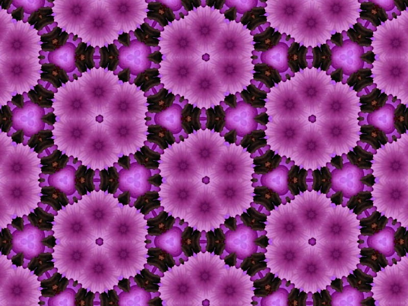 Purple flowers, techno, 3d and cg, fractals, abstract, mauve, HD wallpaper
