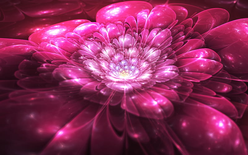 Abstract flower, Abstract, Pink, Floral, Fractal, HD wallpaper | Peakpx