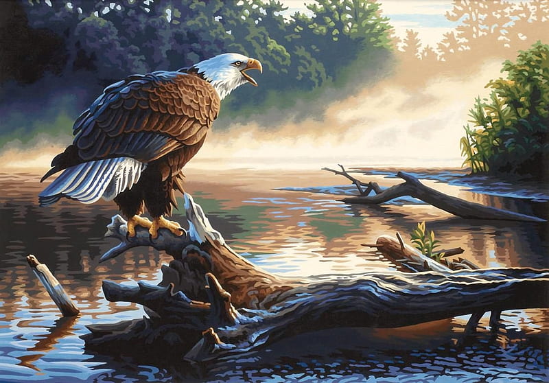 Majesty of the Air, bald eagle, painting, eagle, raptor, artwork, HD wallpaper