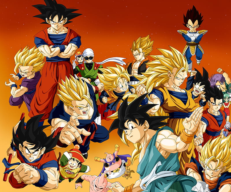 Familia Dragon Ball