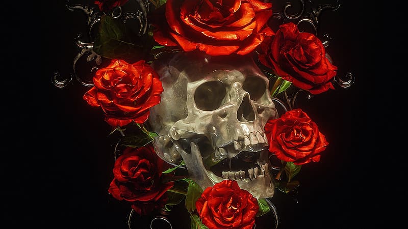 :), frumusete, fantasy, billelis, red, rose, art, skull, bones, HD wallpaper