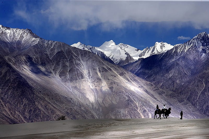 panorama of the valley and the Nubra River at sunset (India, Ladakh, Nubra  Valley, Jammu and Kashmir) Stock Photo