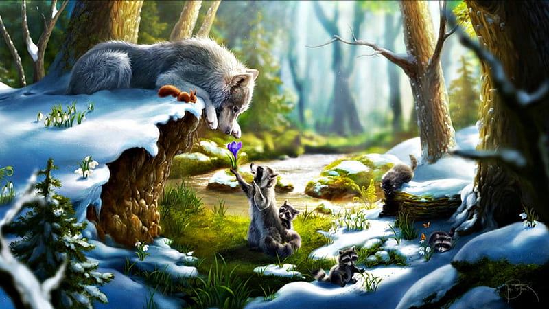 Spring is coming, forest, art, luminos, thecompanyofwolves, woods, raccoon, animal, tree, fantasy, green, snow, flower, wolf, HD wallpaper