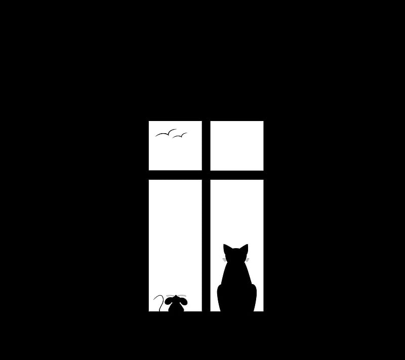 Cat and Mouse, atqnn, black, home, white, window, windows, HD wallpaper