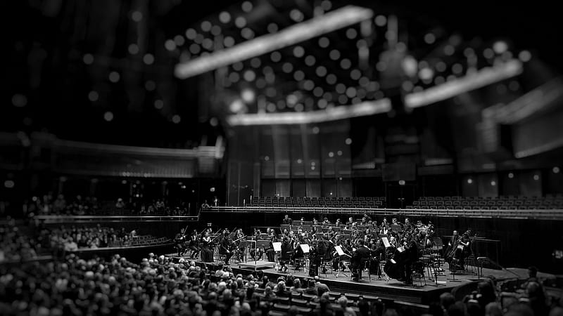 grayscale graphy of orchestra playing on theatre, HD wallpaper